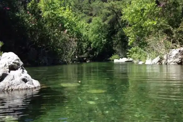 Gezilecek görülecek yerler Kazdağları Edremit Altınoluk Elbis Otel